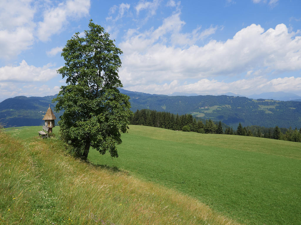 Alpengasthof Moser Karchau Экстерьер фото
